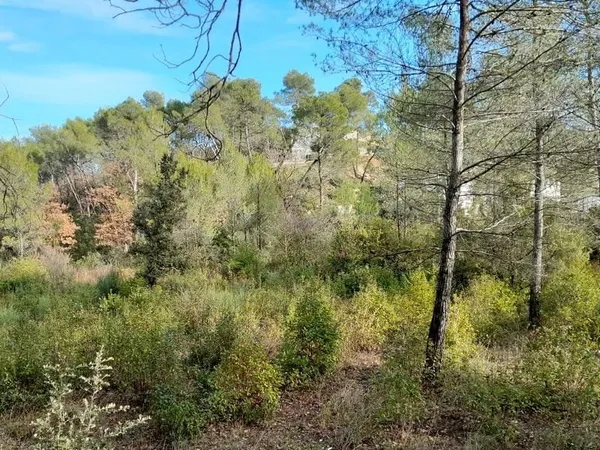 Terrain 620 m²