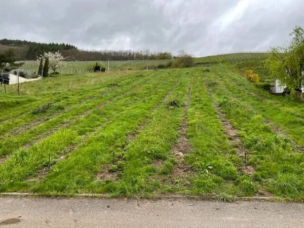 Terrain 1735 m²