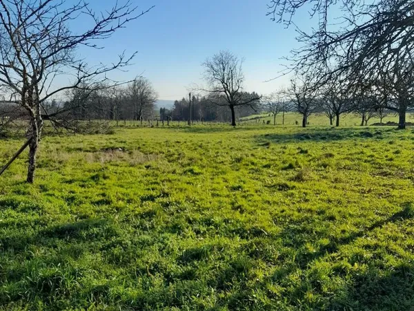 Terrain à bâtir
