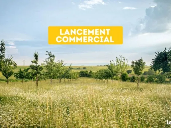 Terrain 607 m² Schwobsheim