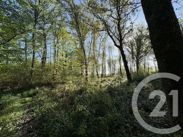 Terrain 37340 m²