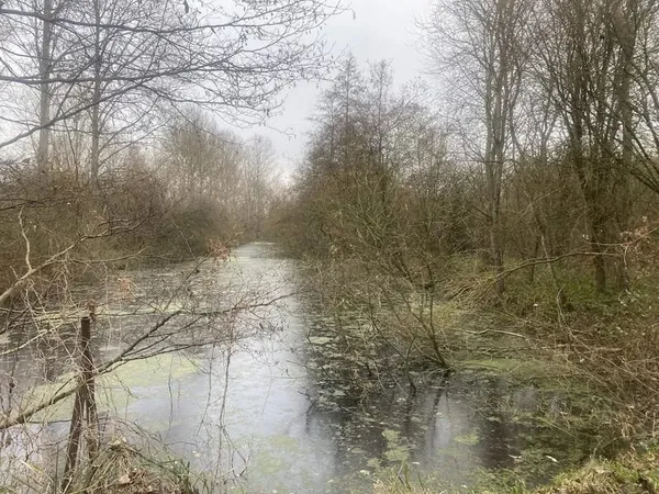Terrains de loisirs boisés à aménager
