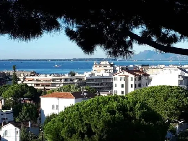 Studio 1 pièce 33 m²