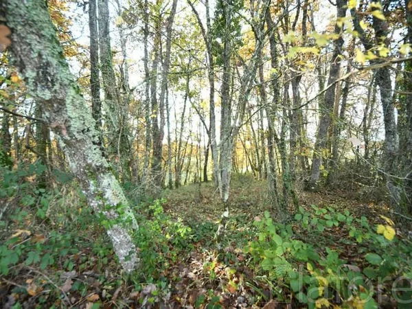 TERRAIN NON CONSTRUCTIBLE HAMEAU DES BARRIERES