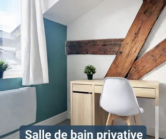 Location grande chambre hypercentre avec salle de bain privative