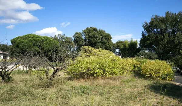 Terrain 825 m²