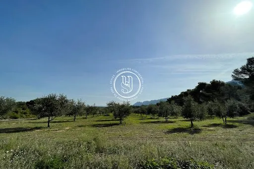 Propriété 500 m²
