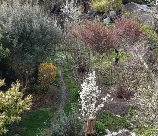Maison sur terrain divisible
