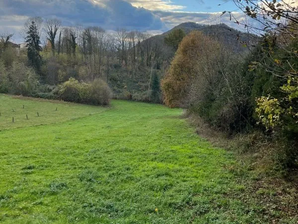 Terrain constructible