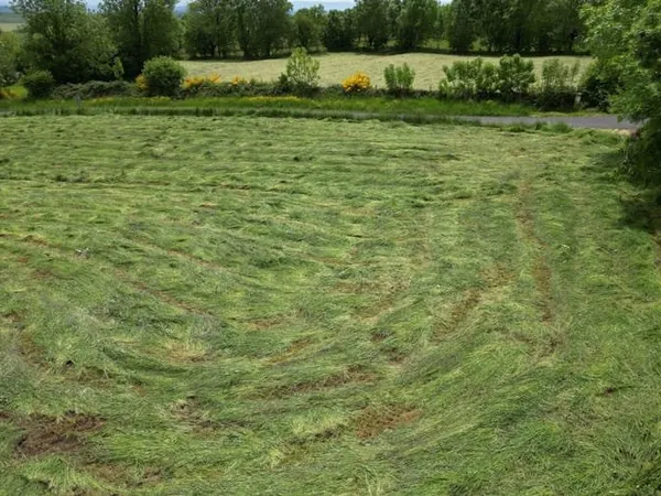 Terrain 2902 m²