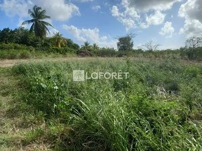 Terrain plat à Saint François de 1000 m2 à 2 minutes de la marina (Constructible)