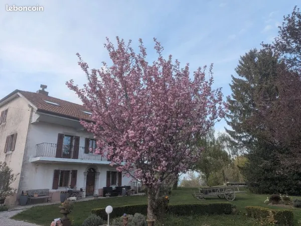 Grande maison au calme a la campagne