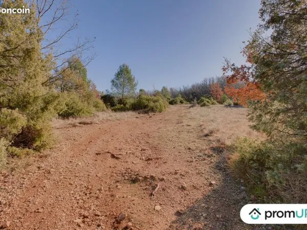 Terrain 44 605 m² Rians