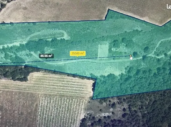 Vente terrain agricole