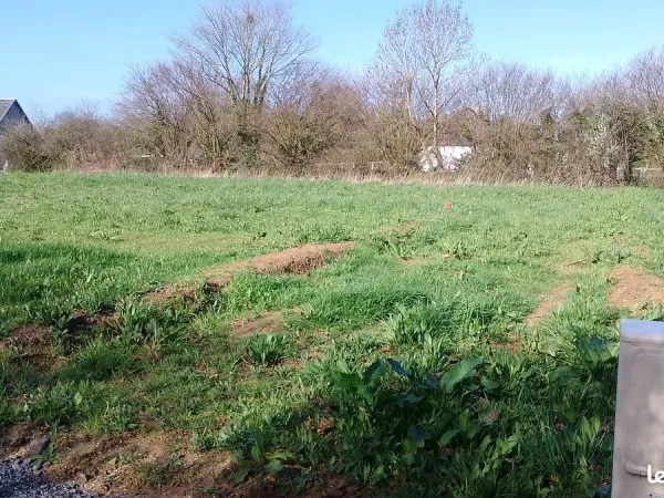 Terrain constructible