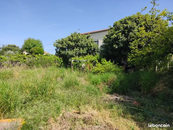 Colocation cherche supers colocataires