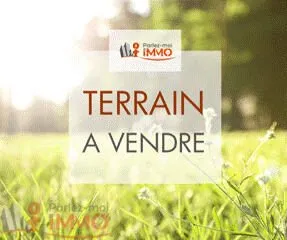 Terrain constructible