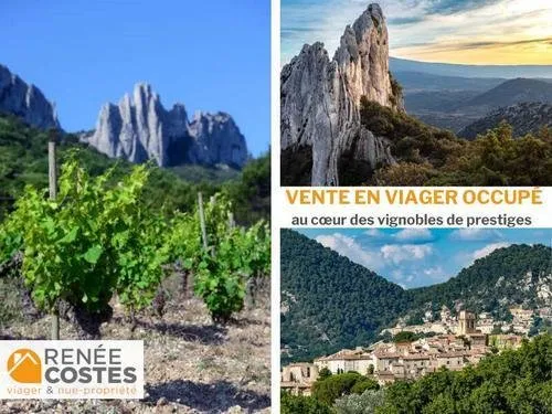 Viager occupé - H83 ans - VAISON LA ROMAINE (84110)