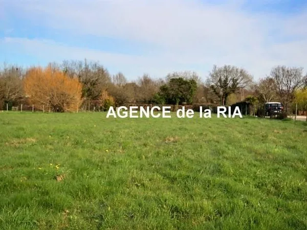 Terrain constructible