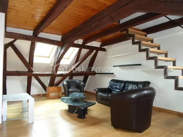 MONTBÉLIARD CENTRE VILLE, TRÈS BEL APPARTEMENT T3 MEUBLÉ, EN DUPLEX, SPACIEUX ET LUMINEUX, ENV. 60 M