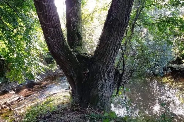 Chambres à louer dans un moulin en pleine nature à Coutances