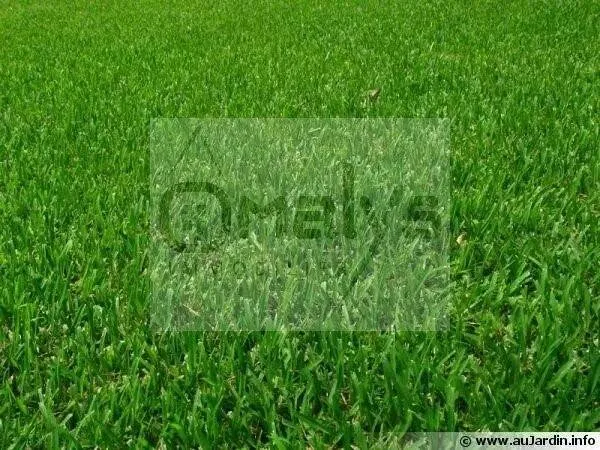 Terrain constructible 2800 m²