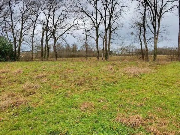 Terrain constructible viabilisé 965 m2 Hagetmau - Vue forêt rare, sans vis-à-vis