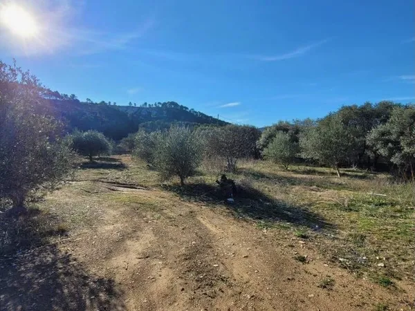 Terrain 766 m²