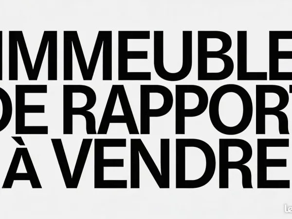 Immeuble de rapport 30 pièces 505 m²