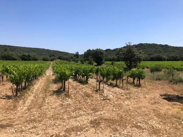 Terrain 43000 m²