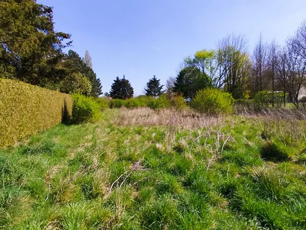 Terrain constructible de 2 386 m² à Revelles (80540)