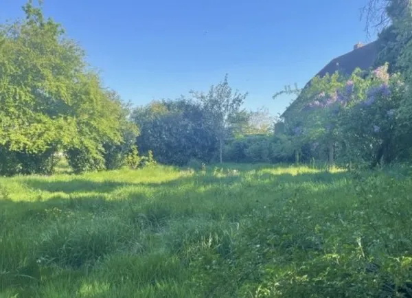 Terrain 896 m²