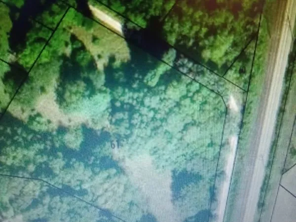 Terrain 7990m2