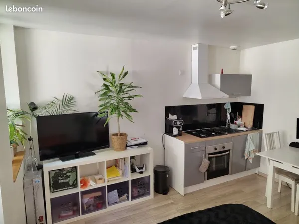 Studio 29 m² meublé - Disponible juin