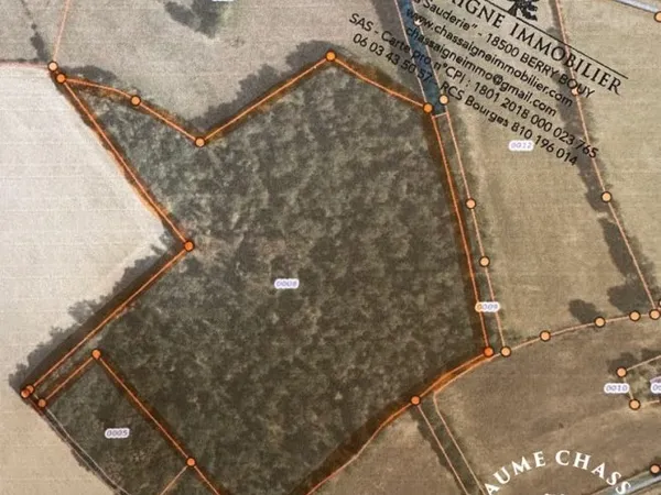 Bien agricole et foncier Vente Dun-sur-Auron   96300€
