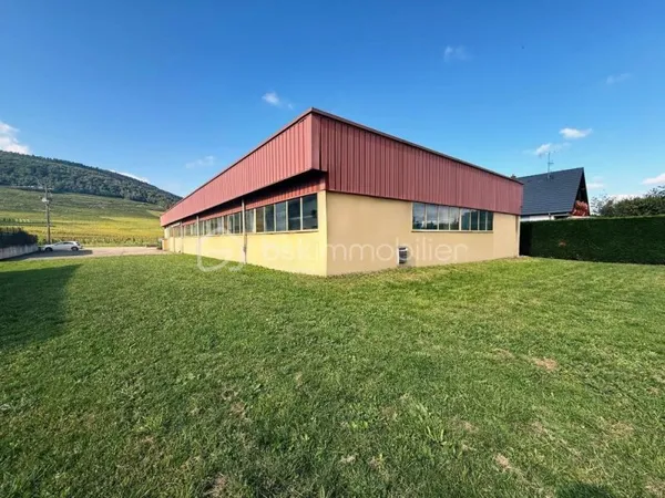 Local commercial de 671 m² à Bergholtz - 23,54ares terrain constructible