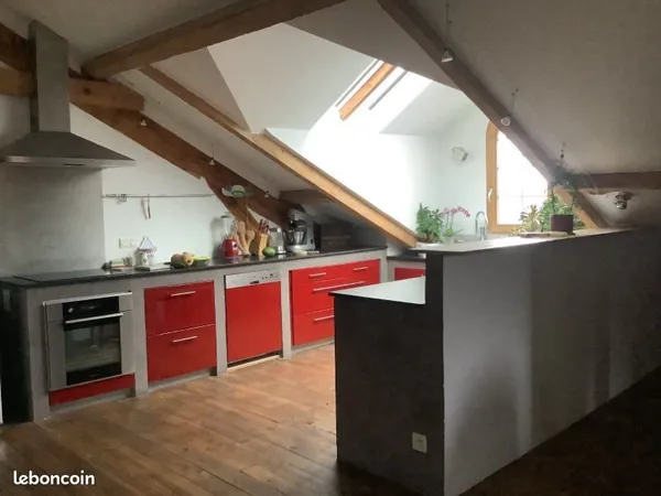 Appartement de charme - style loft - 106 m2 carrez ( 160 m2 au sol )