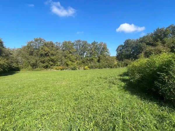 Terrain 1000 m²