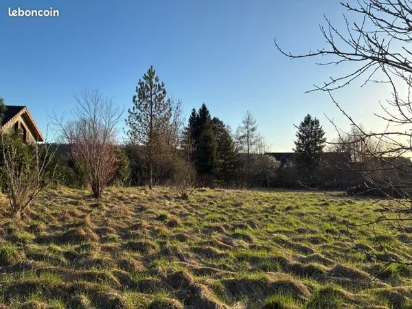 Terrain constructible