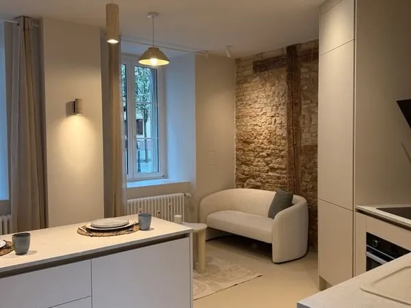 T3 rénové haut de gamme - 45 m² - Petite France