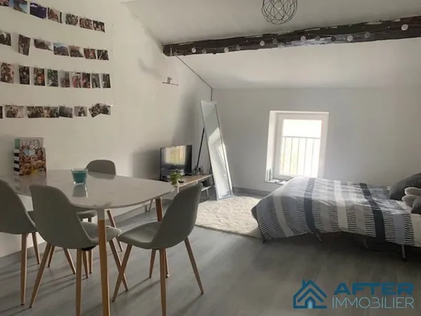 Appartement F1 bis meublé