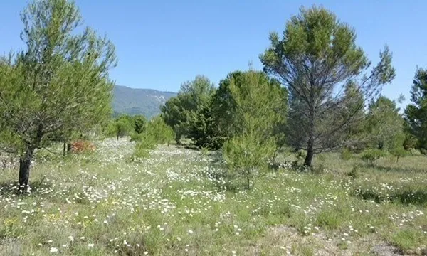 Beau terrain constructible au pied du Luberon