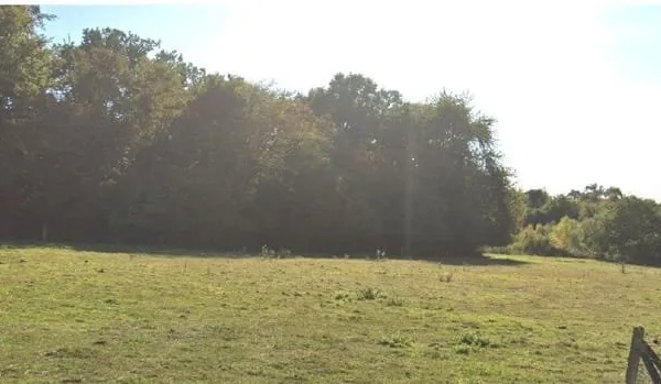 Terrain 350 m²