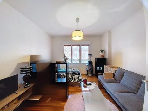 Appartement 1 pièce 43 m²