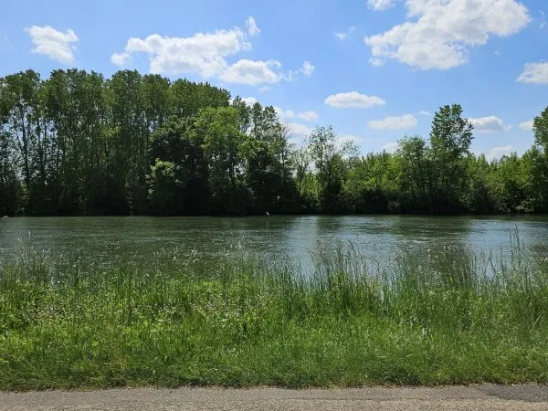 Terrain 550 m²