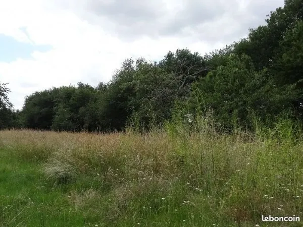 Terrain 1 250 m² Belin Beliet