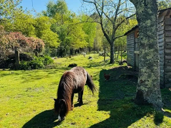 Ensemble immobilier