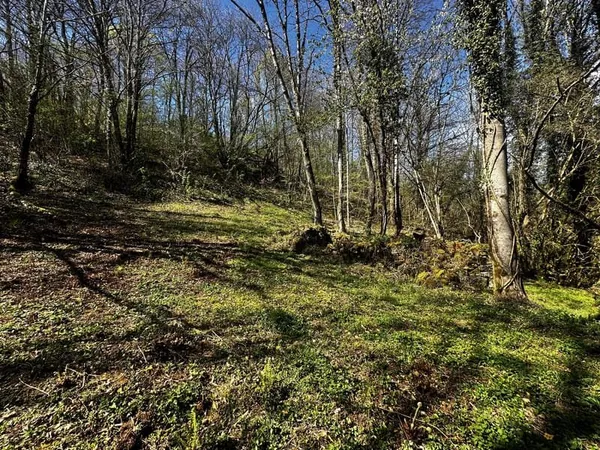 Ruine située dans l'ancien hameau de la Frête sur les hauteu
