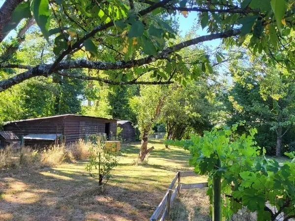 Terrain 1148m2, cabanes en bois, arbres fruitiers