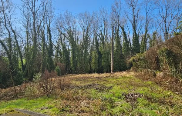 Terrain à Villemareuil